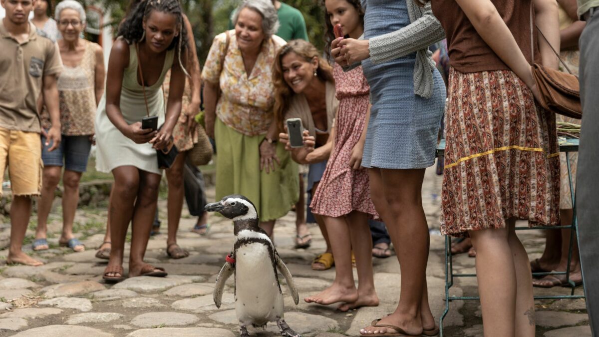 Mój przyjaciel pingwin - kadr 2