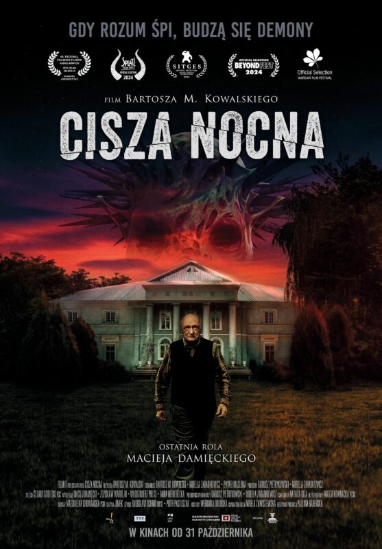 Cisza nocna - okładka