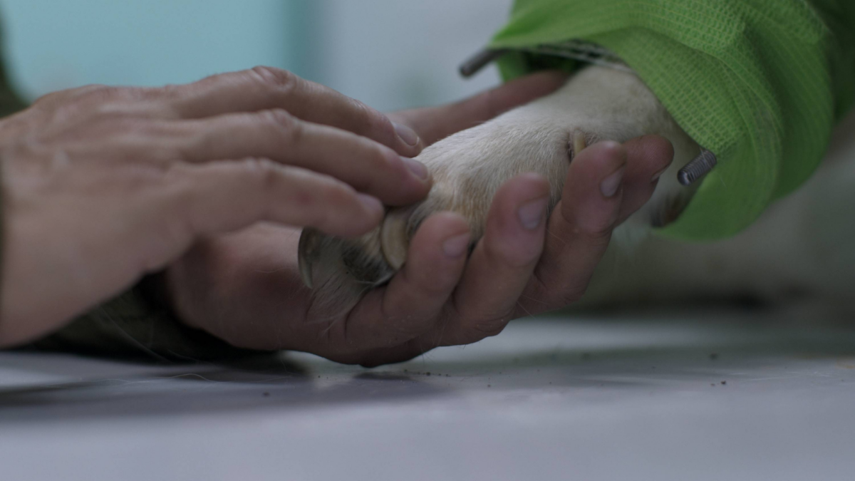 Wszystko Ma Żyć - kadr 1