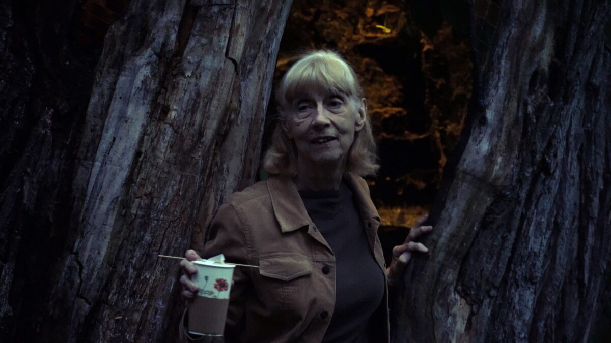 Polish Young Talents - kadr 2