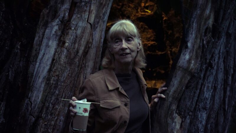 Polish Young Talents - okładka