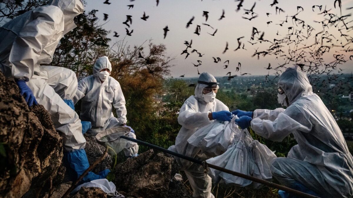 Kadr filmu dokumentalnego z 22 edycji festiwalu filmów dokumentalnych.