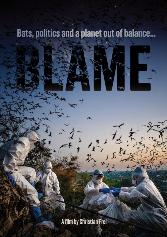 Znaleźć winnego - okładka