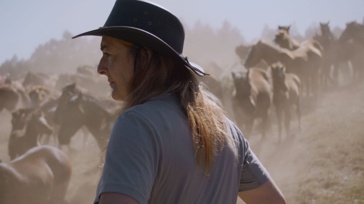 Kadr filmu dokumentalnego z 22 edycji festiwalu filmów dokumentalnych.