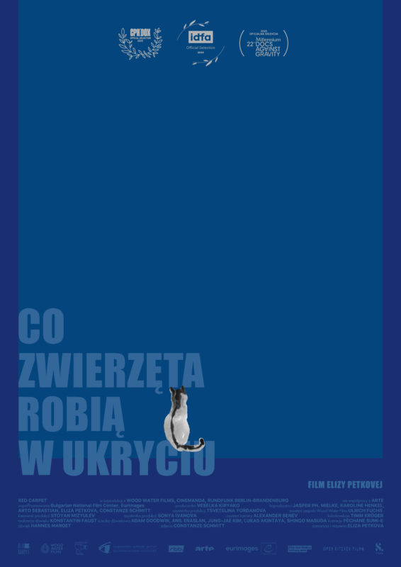 Co zwierzęta robią w ukryciu - okładka
