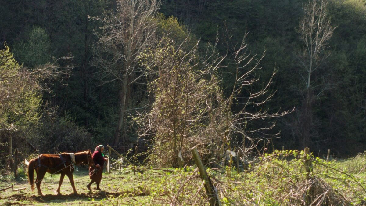 Kadr filmu dokumentalnego z 22 edycji festiwalu filmów dokumentalnych.