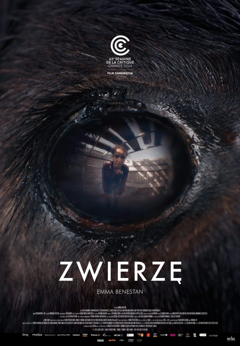 Zwierzę - okładka