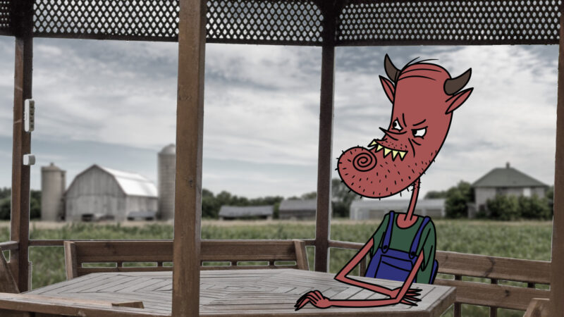 Animator bez selekcji – Filmy polskie - okładka