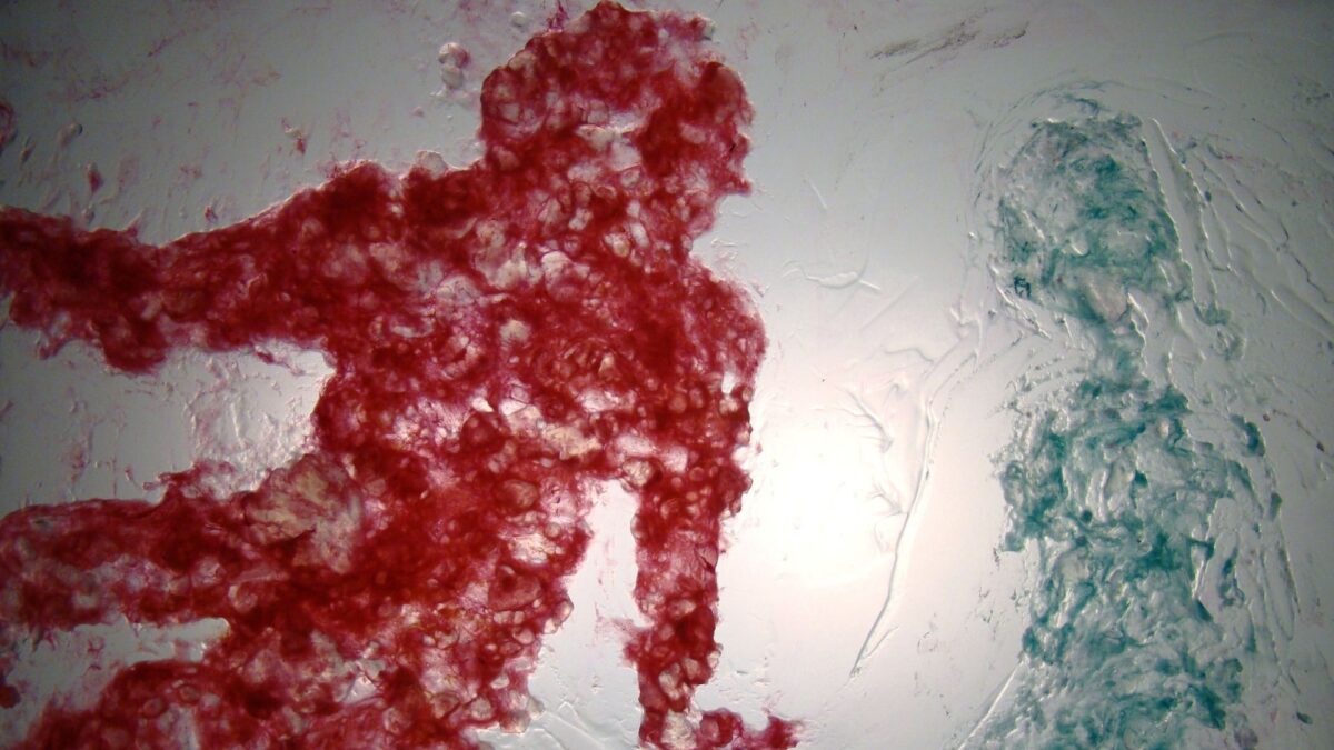 Kadr z animacji granej podczas 18 edycji festiwalu Animator.