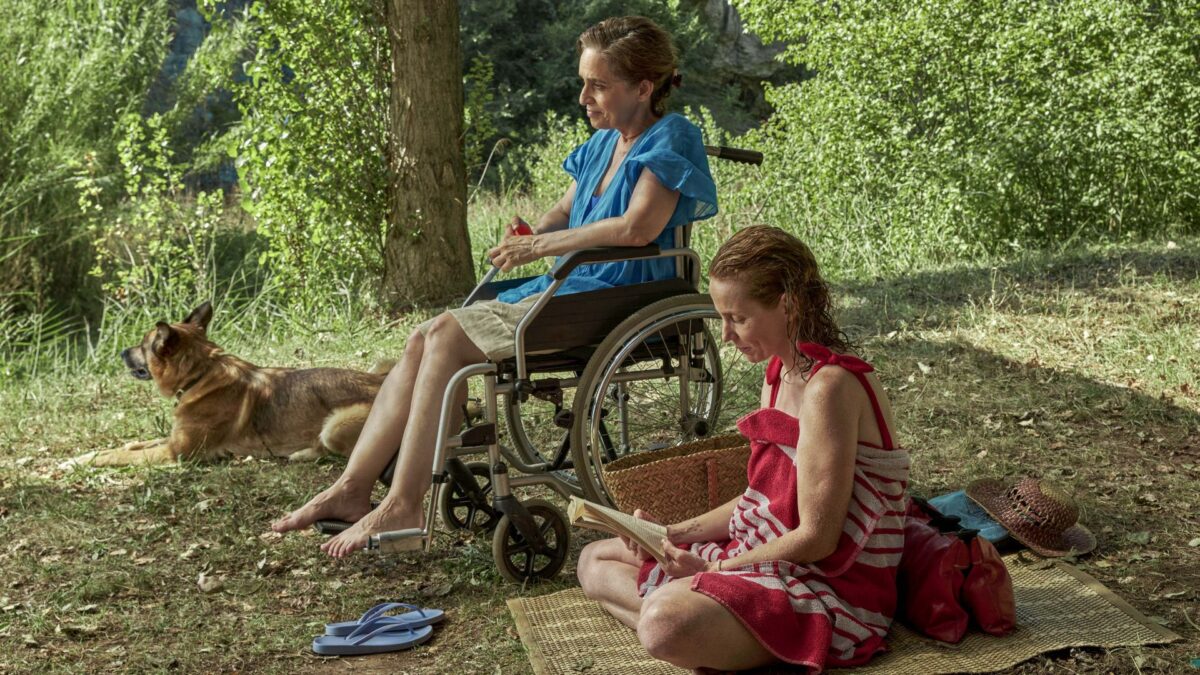 Dziewczynka czyta książkę podczas pobytu na pikniku.