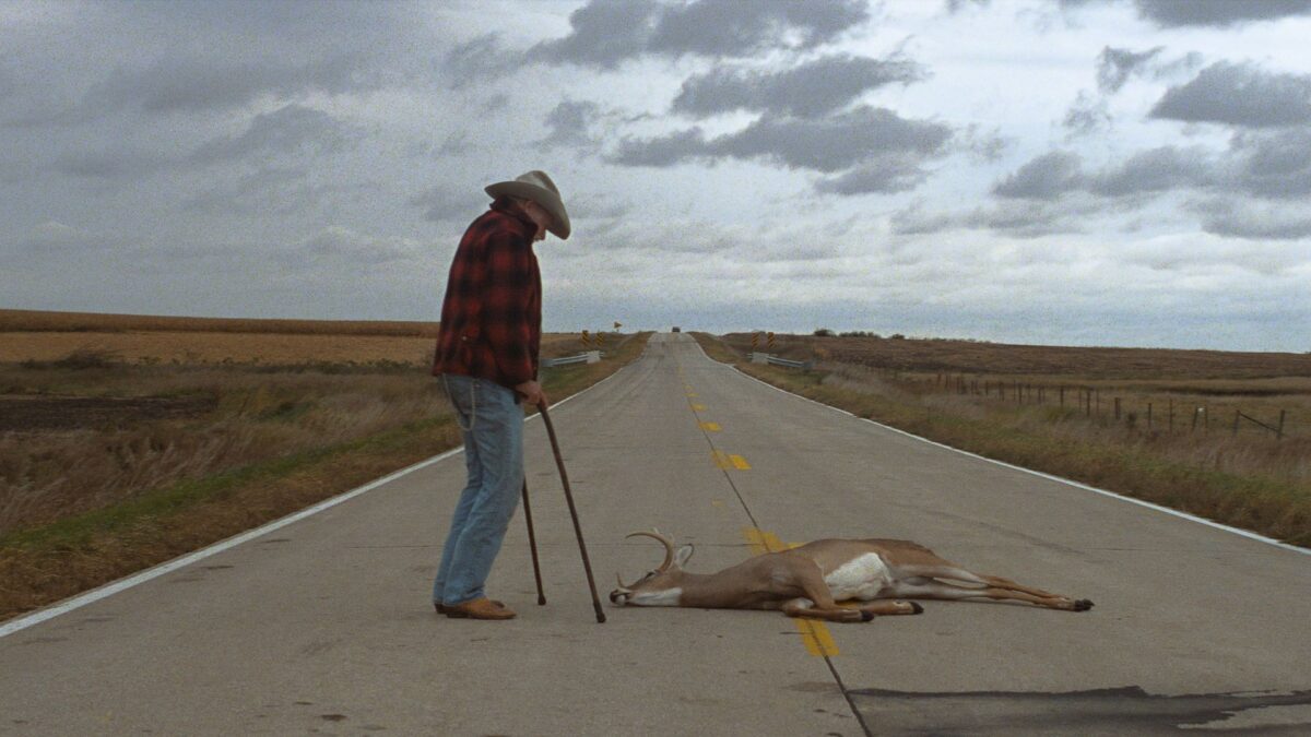 Mężczyzna na drodze podchodzi do potrącobego zwierzaęcia.