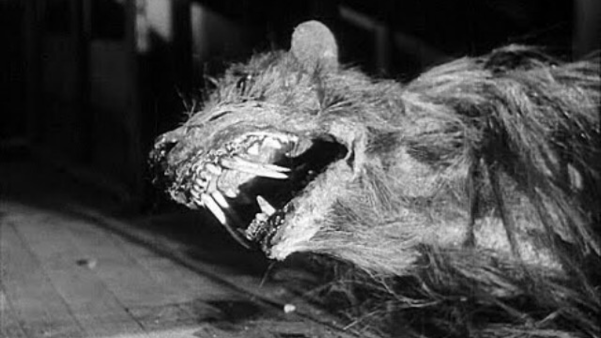 Zabójcze ryjówki | Najlepsze z najgorszych - kadr 1