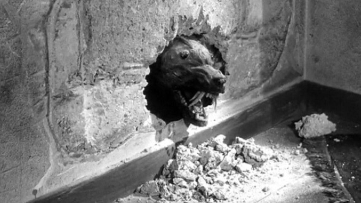 Zabójcze ryjówki | Najlepsze z najgorszych - kadr 2