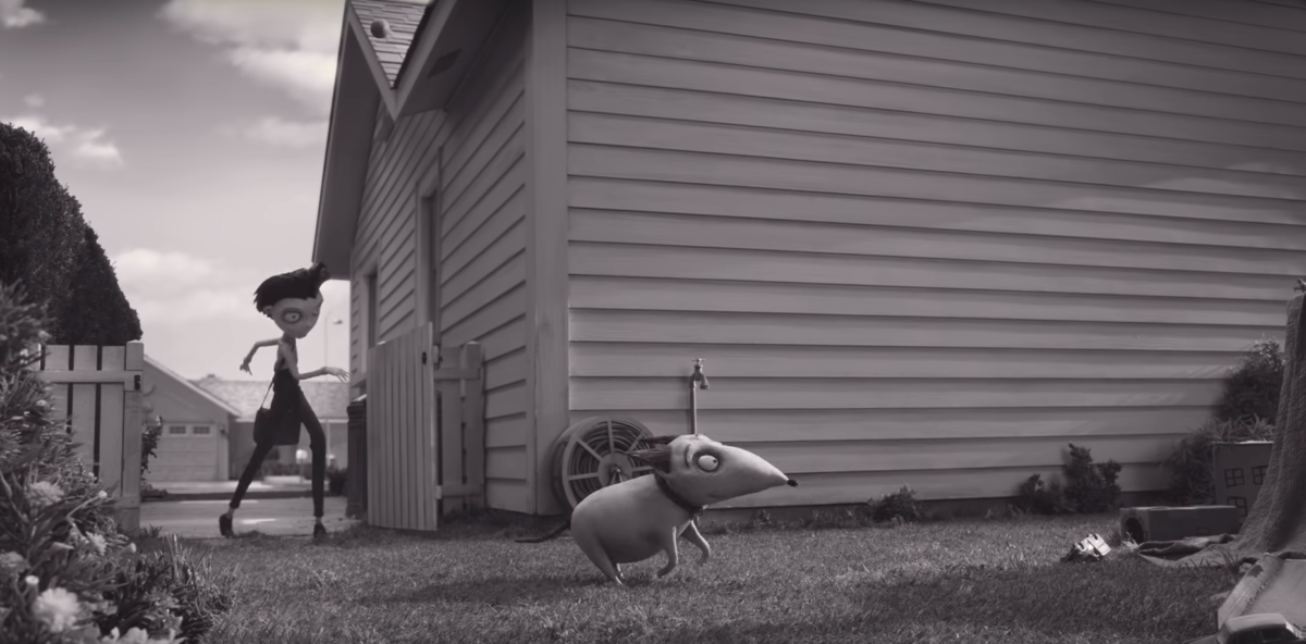 Frankenweenie - kadr 1