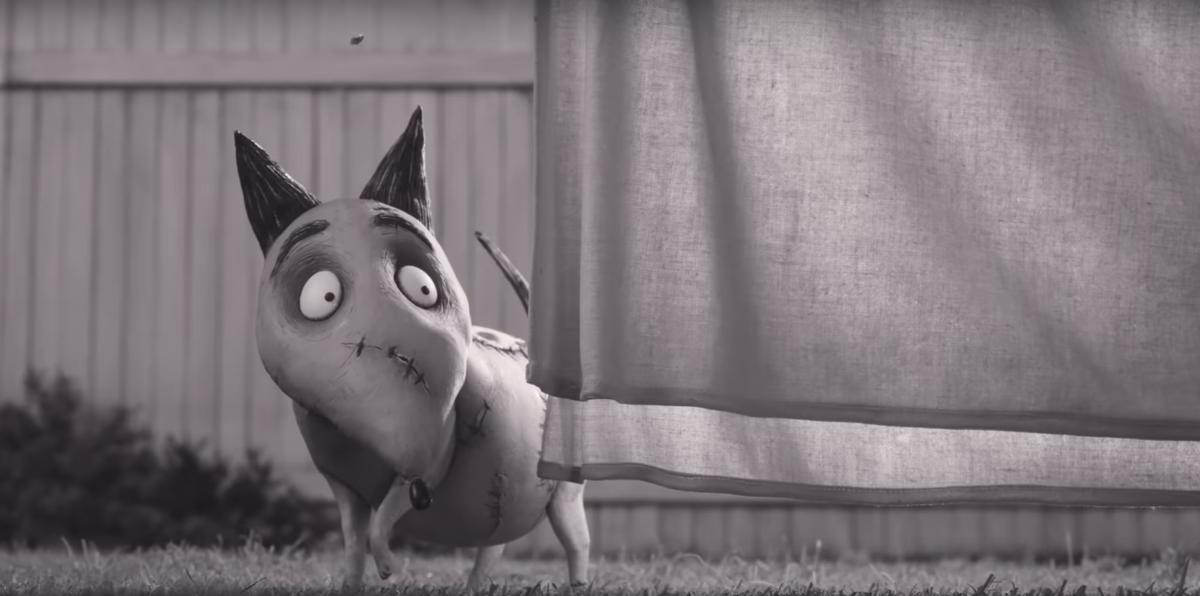 Frankenweenie - kadr 2