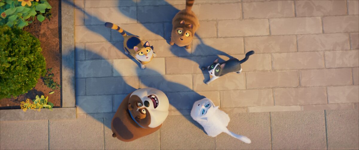 Miss moxy. kocia ekipa - kadr 2