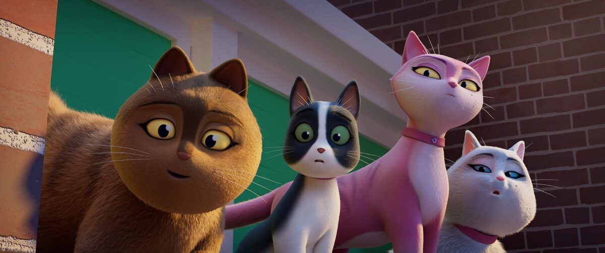 Miss moxy. kocia ekipa - kadr 1