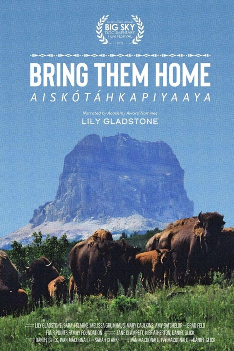 Bring them home - okładka