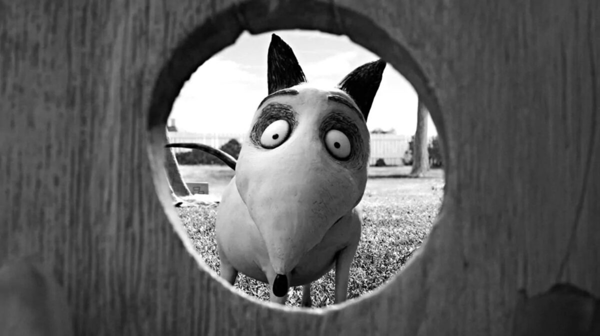 FRANKENWEENIE - okładka