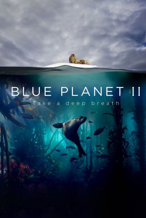 BŁĘKITNA PLANETA II: 2 odc. - okładka