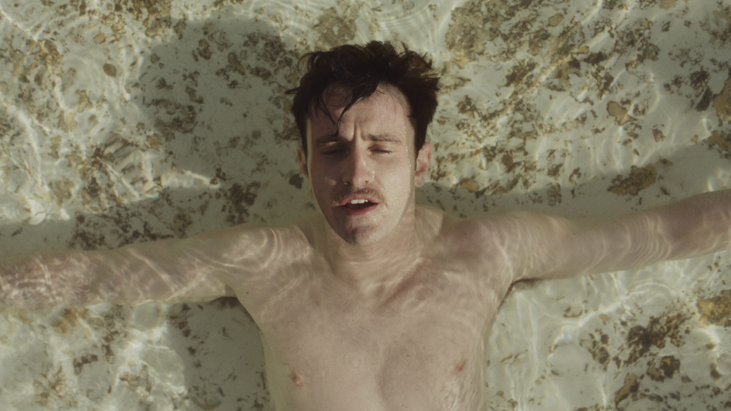 British Film Festival - okładka