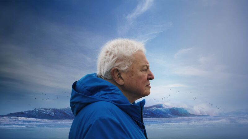 DAVID ATTENBOROUGH: ŚWIAT OCEANÓW - okładka