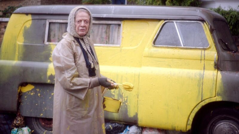 Dama w vanie - okładka