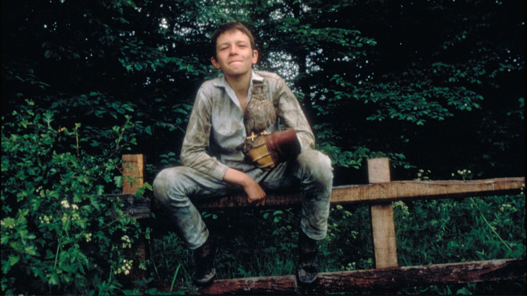 Kes - okładka