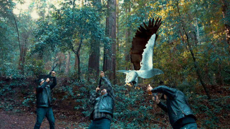 Ptakodemia 3: Morski orzeł - okładka