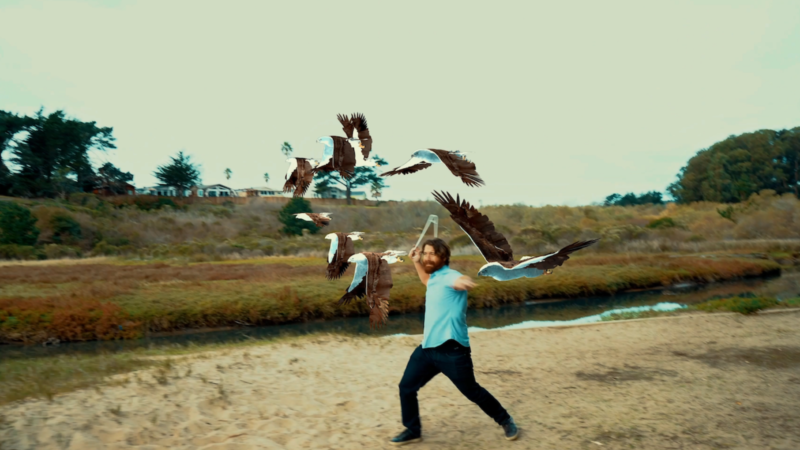 Ptakodemia 3: Morski orzeł | Najlepsze z najgorszych - okładka