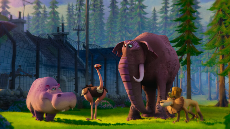 Rufus. Potwór morski, który nie umiał pływać - okładka