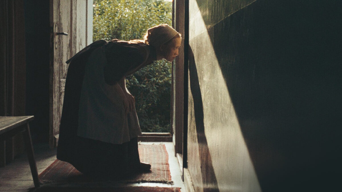 Wpatrując się w słońce - zdjęcie 1