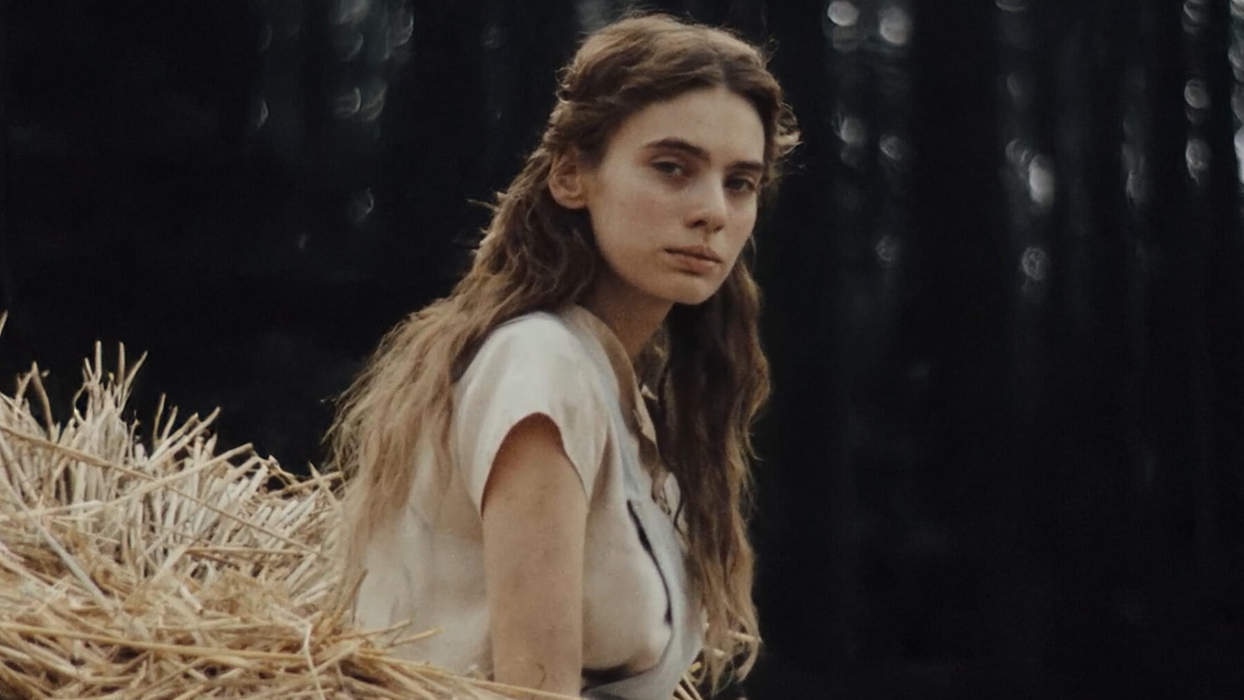 Wpatrując się w słońce - okładka