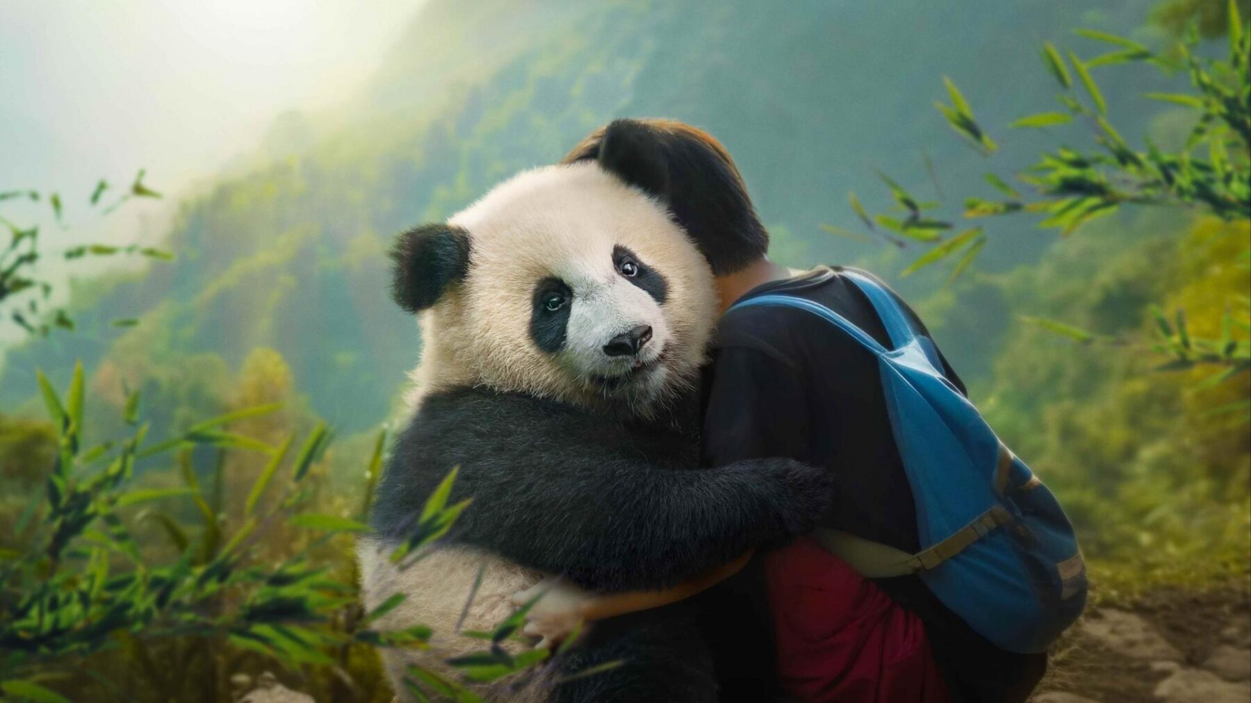 Moon: Panda i ja - okładka