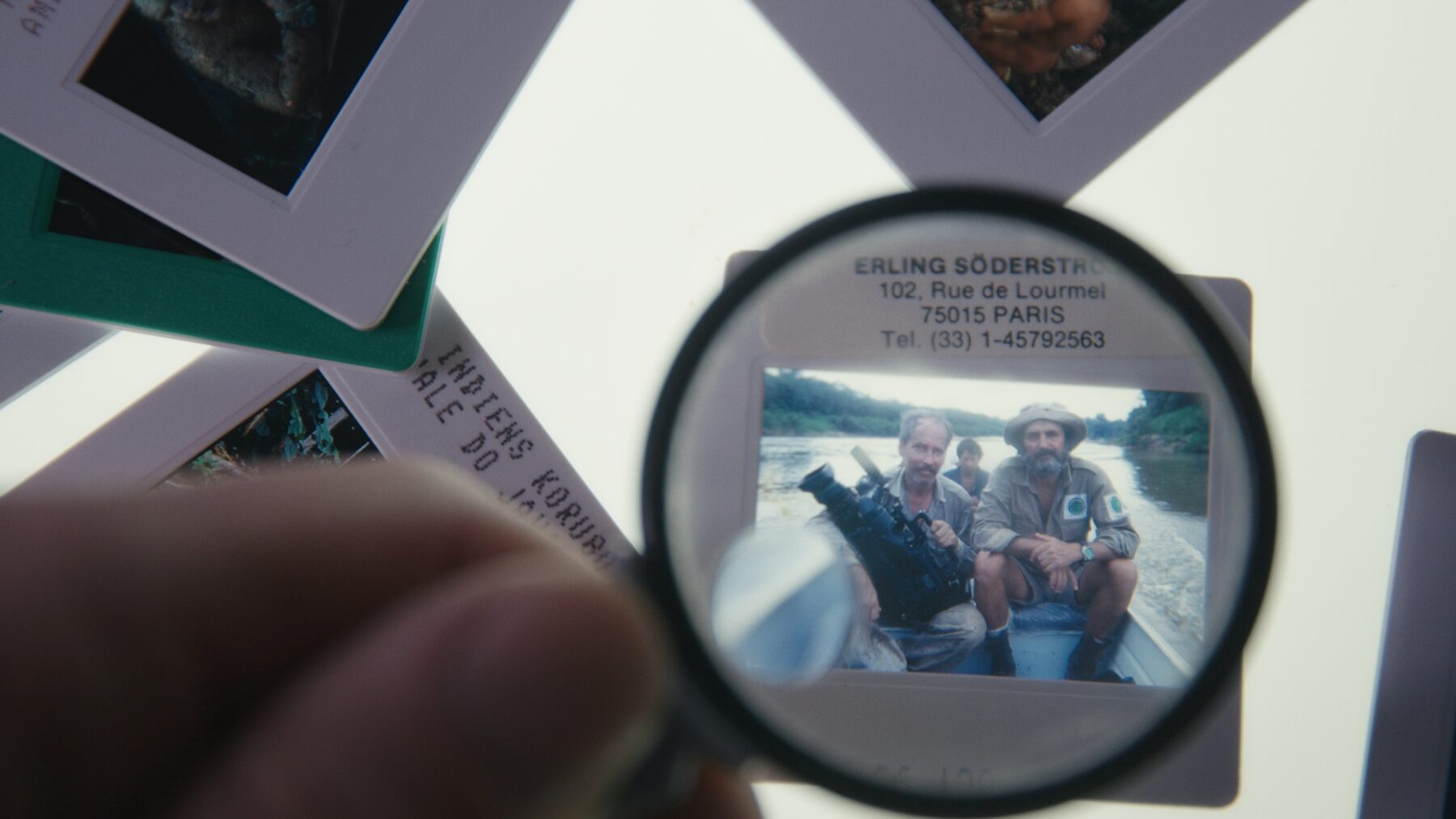 Amazomania - okładka