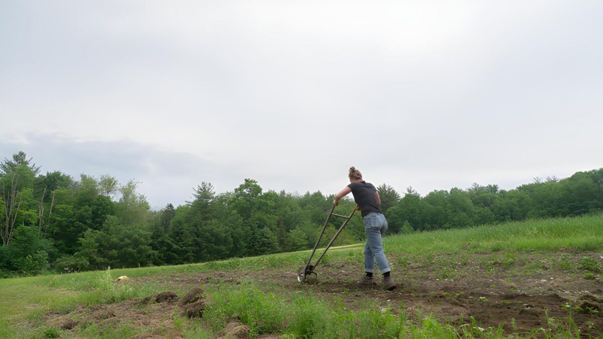 Pieniądze to wszystko - kadr 2