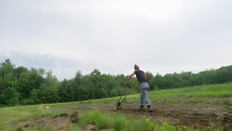 Pieniądze to wszystko - okładka