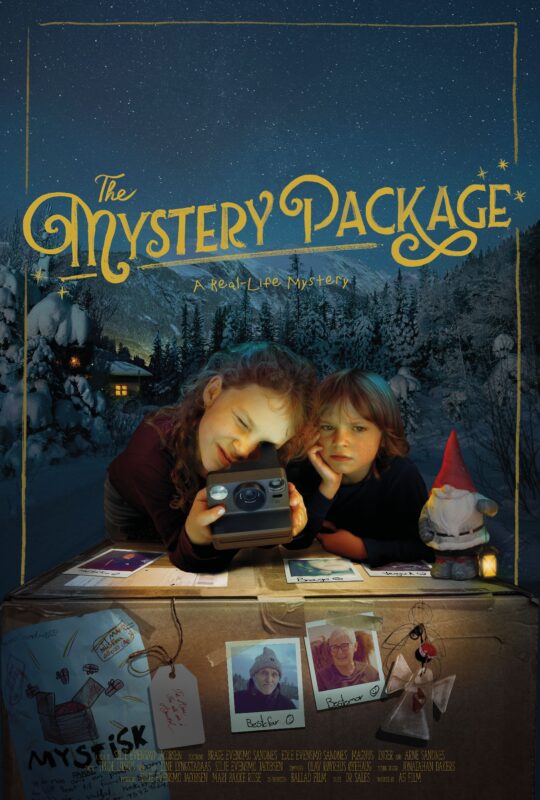 Tajemniczy prezent - okładka