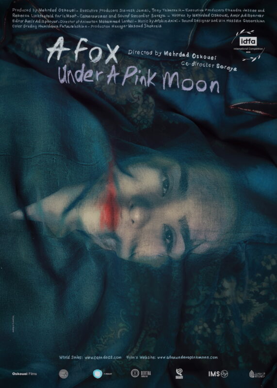 Lis i różowy księżyc - okładka