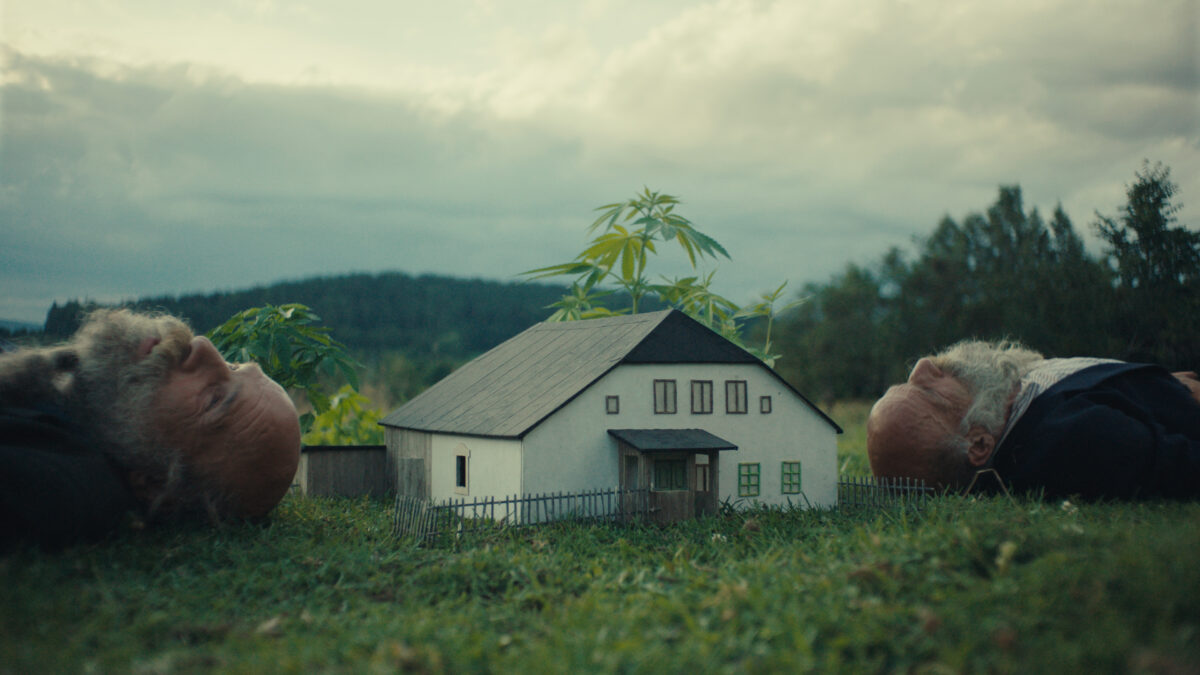 Dzikie szaleństwo - kadr 2