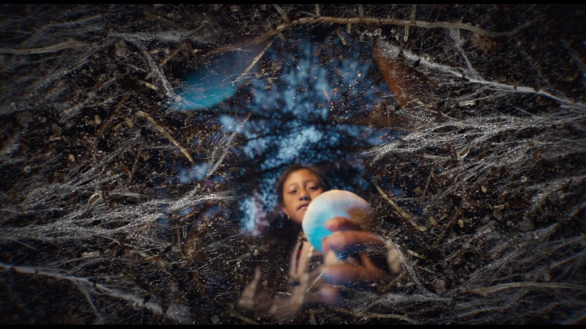 Córki lasu - kadr 1