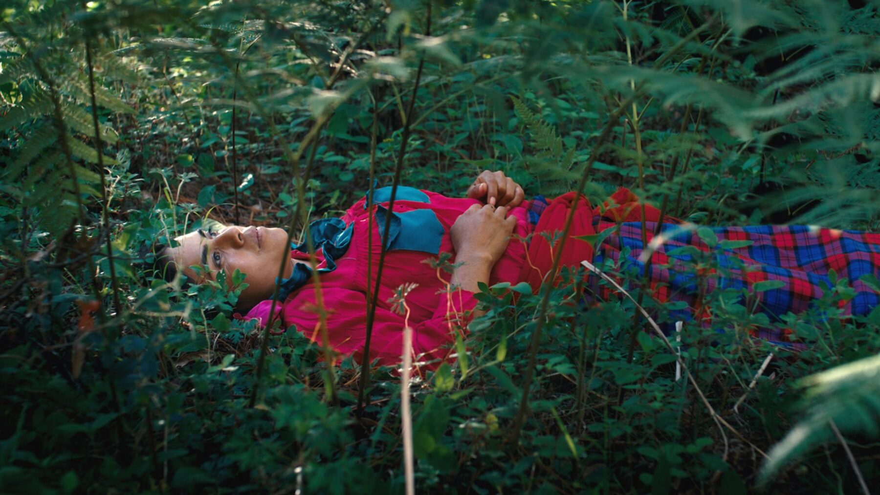 Córki lasu - okładka