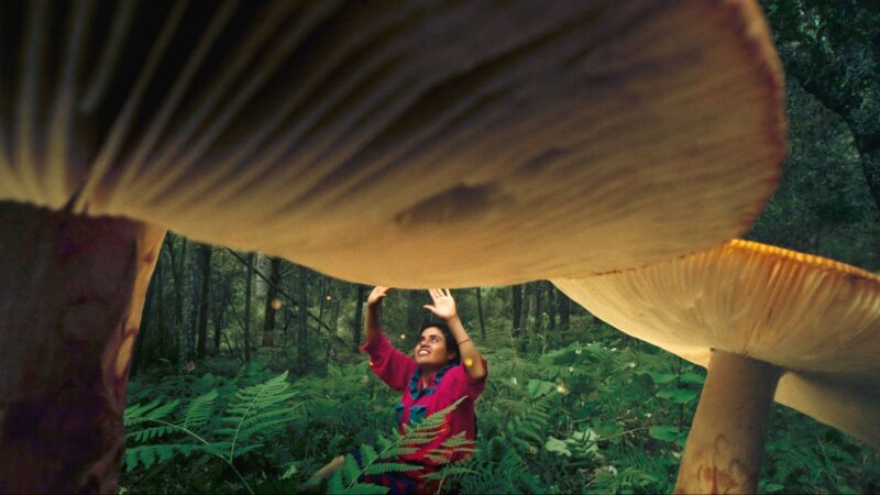 23. Millennium Docs Against Gravity - okładka