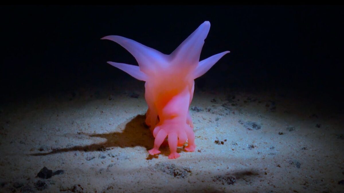 Jak głęboka jest twoja miłość? - kadr 1