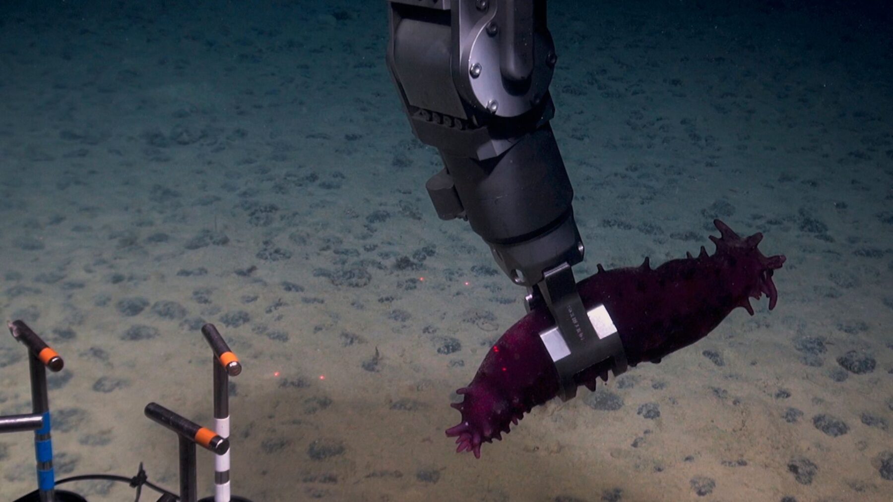 Jak głęboka jest twoja miłość? - okładka