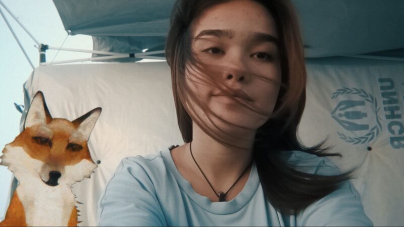 Lis i różowy księżyc - okładka