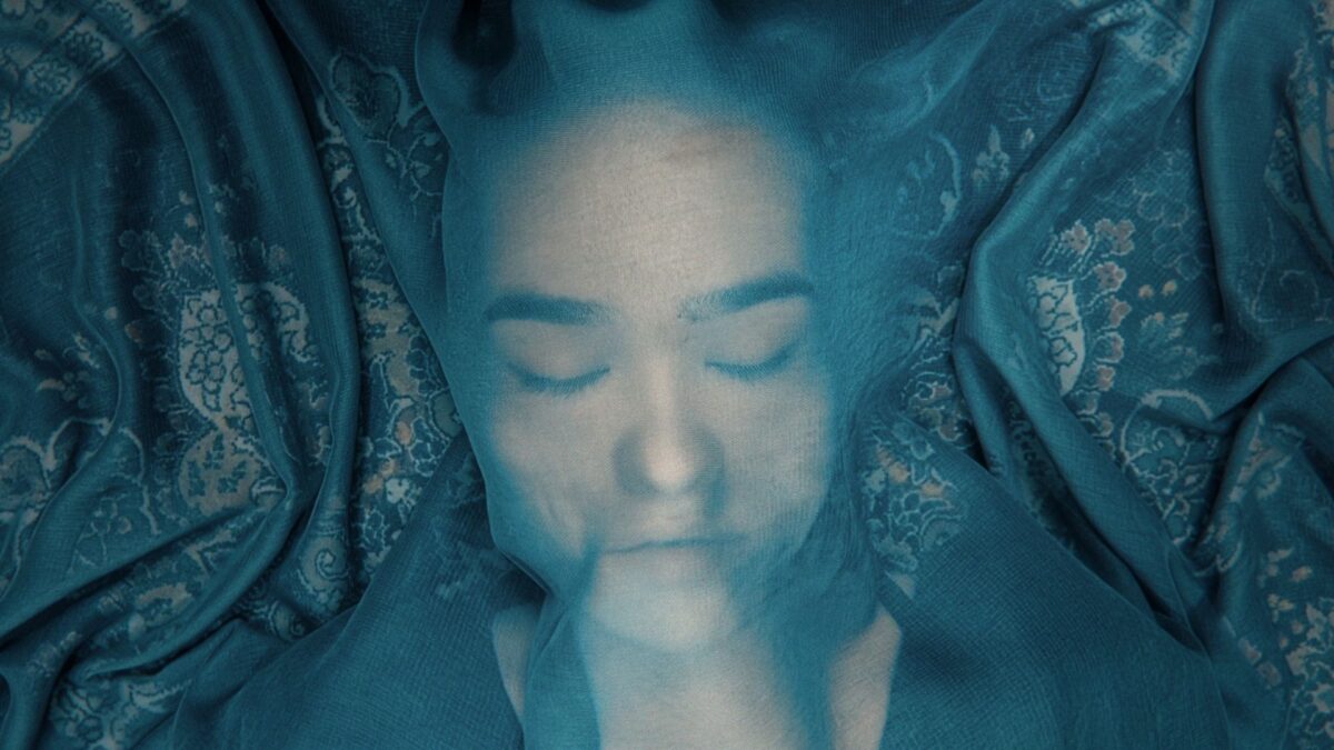 Lis i różowy księżyc - kadr 1