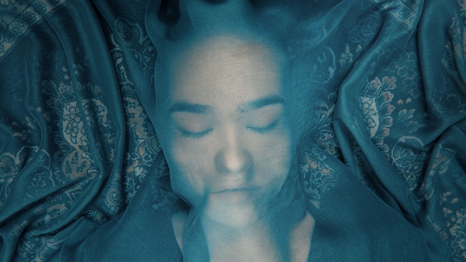 Lis i różowy księżyc - okładka