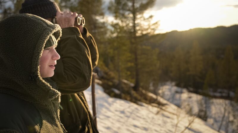 Seanse dostępne - okładka