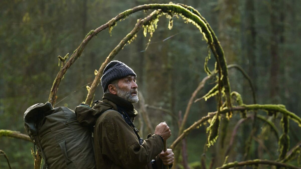 Pieśni lasu - kadr 2